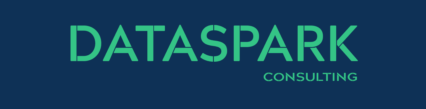 DataSpark Consulting